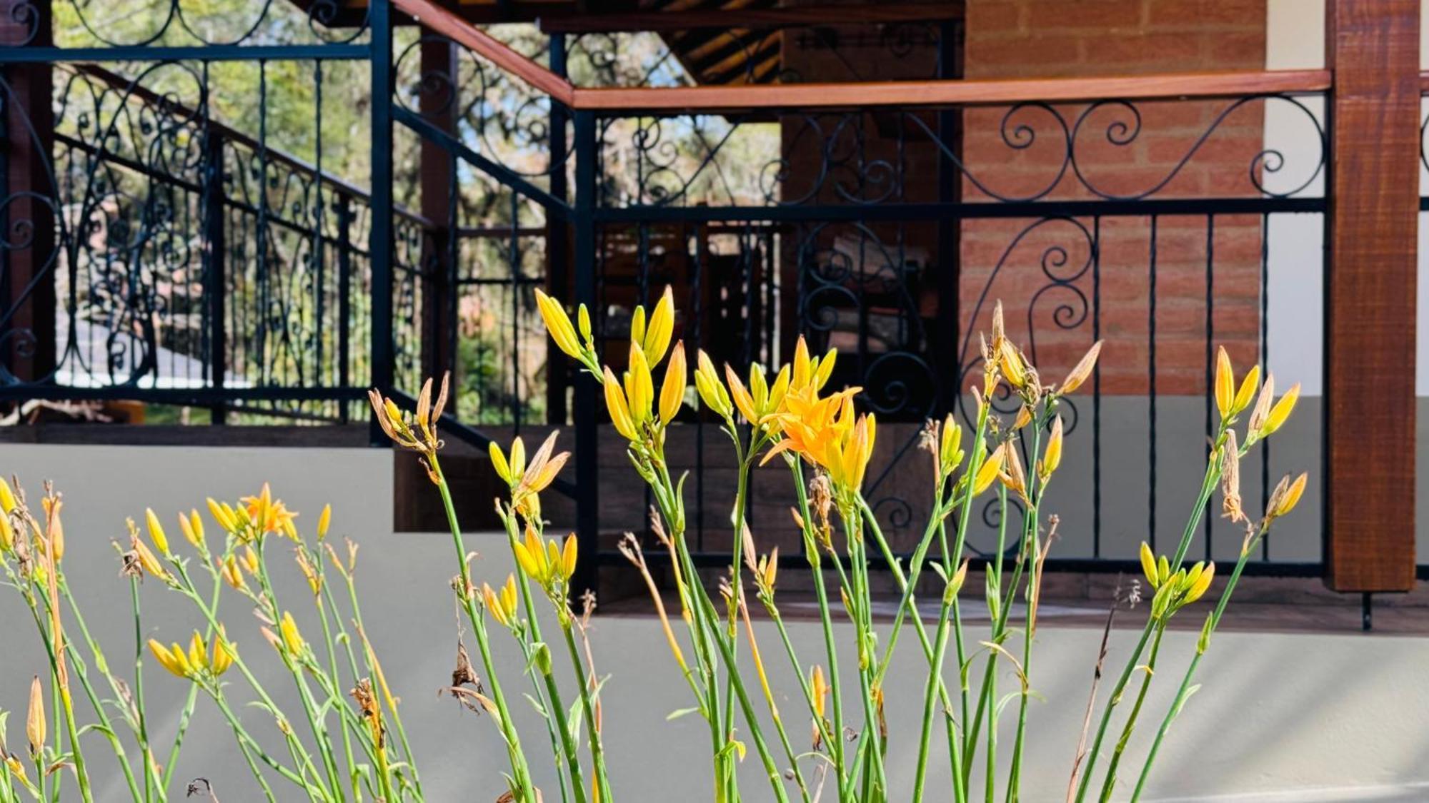 Flores Da Mantiqueira Monte Verde  Ngoại thất bức ảnh